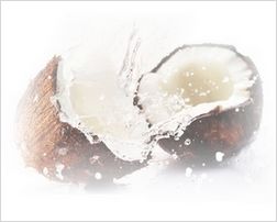 Materac kokosowy sprężynowy 80x200